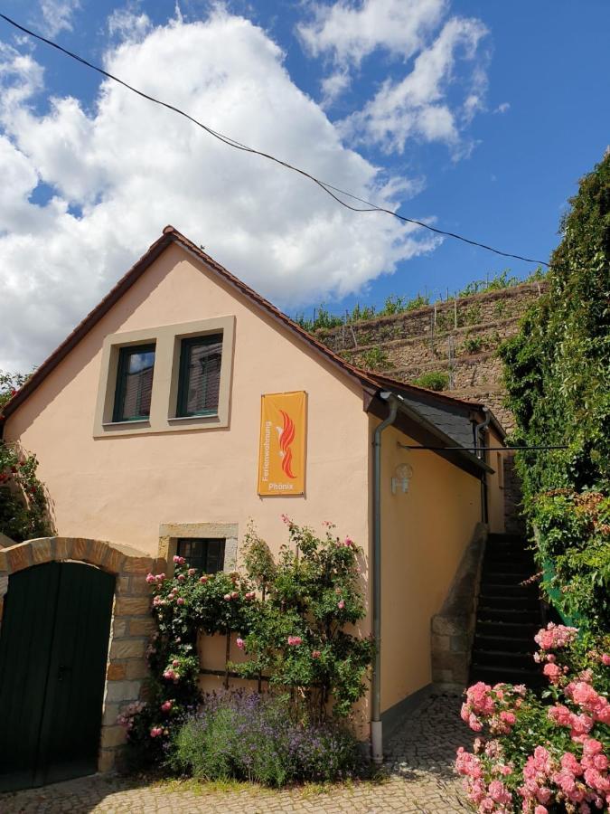 Unterkunft Am Weinberg Nunchritz Экстерьер фото
